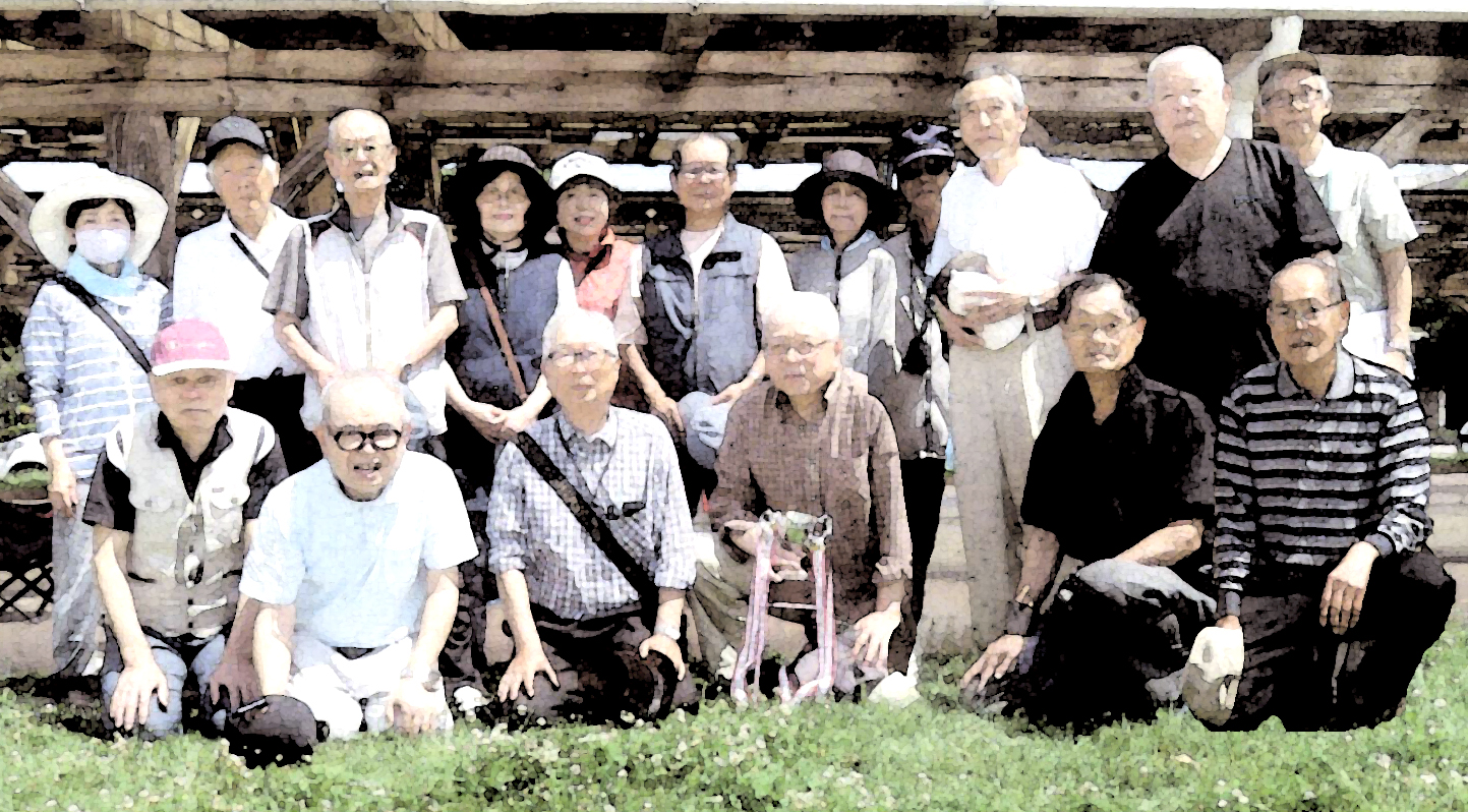 グランドゴルフ